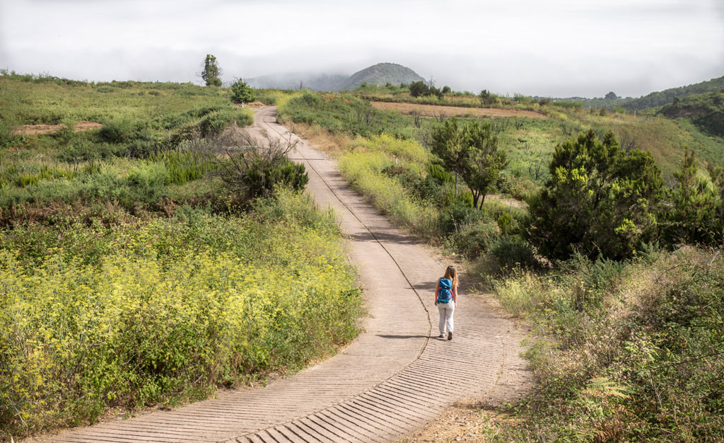 Persona caminando por sendero en zona verde de Tenerife.
