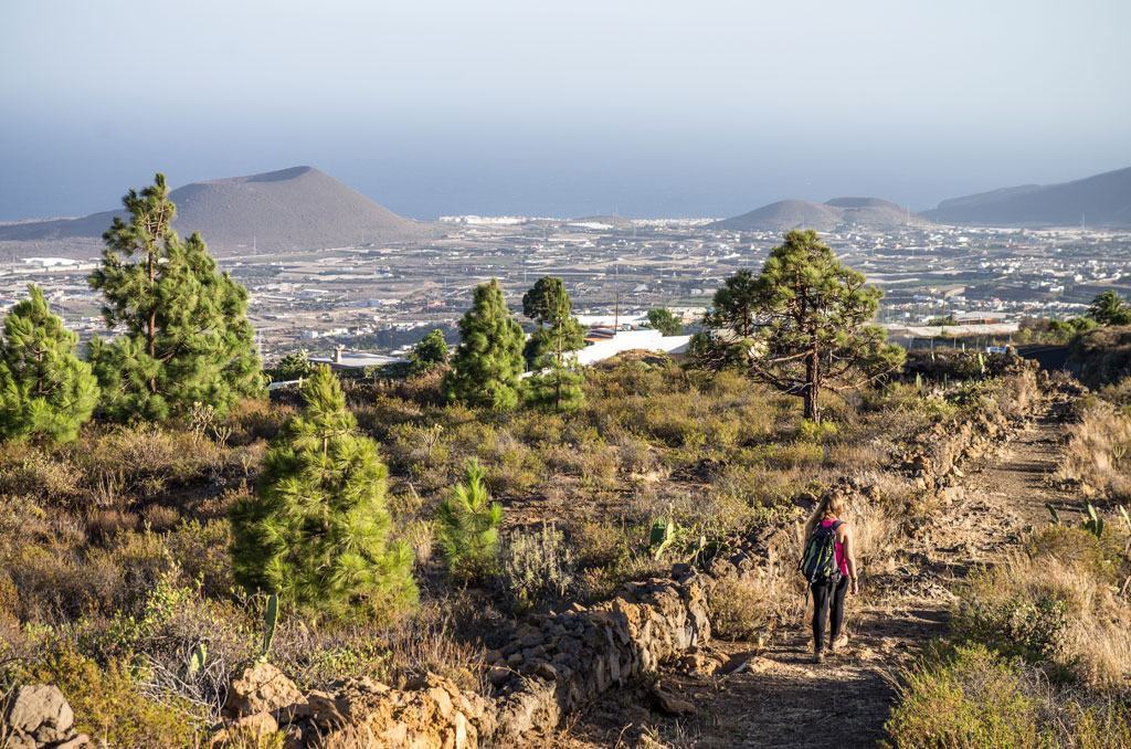Sendero hacia Montaña Roja en un paisaje natural con vista al mar en Tenerife.