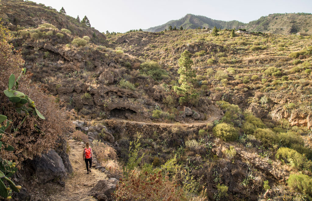 Sendero montañoso en Tenerife con excursionista en primer plano.