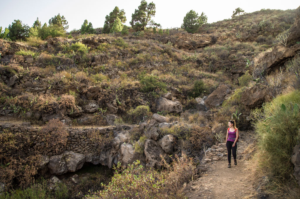 Sendero con vegetación y persona caminando en el Barranco del Infierno, Tenerife.