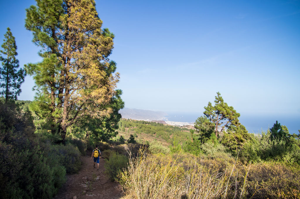 Sendero en el bosque con vistas al mar en Tenerife. Persona caminando con mochila amarilla.
