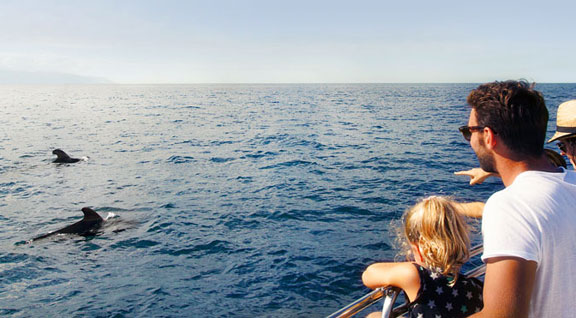 El Rincón de la luz