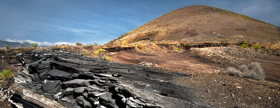 Una asombrosa adaptación al entorno