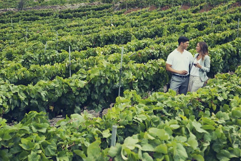 Pareja disfrutando de vino en un viñedo en Tenerife.