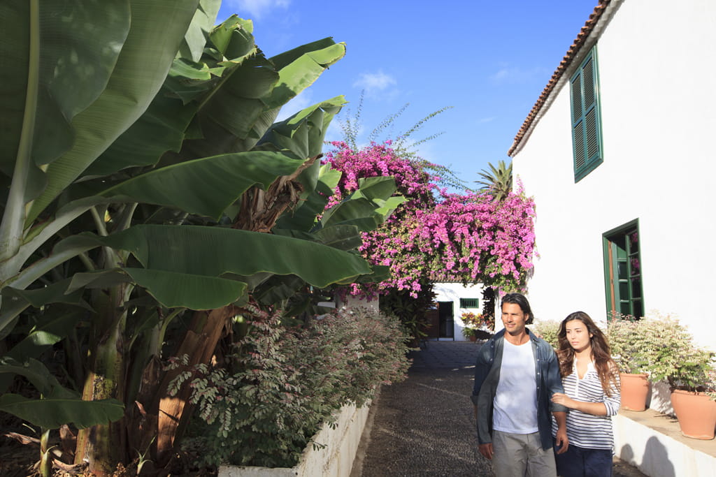 Pareja caminando junto a plataneras y buganvillas en Tenerife.