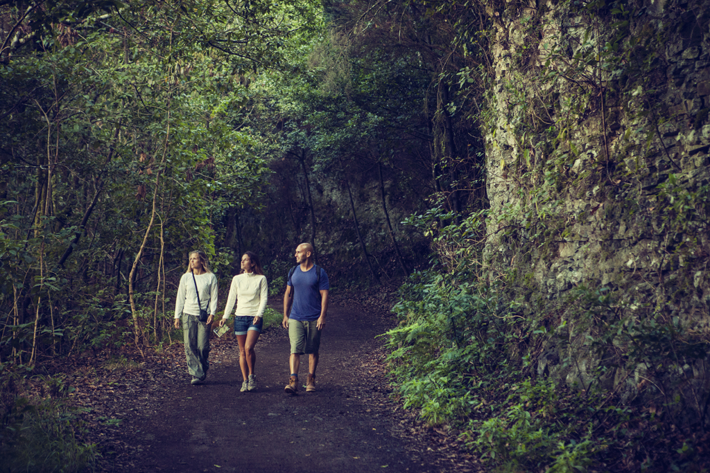 Personas caminando por un sendero rodeado de vegetación en Tenerife.