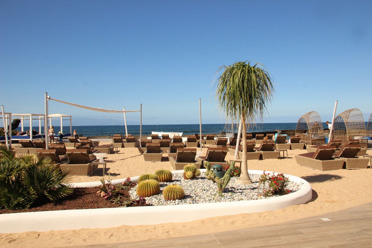 Playa con hamacas, palmeras y cactáceas en Tenerife. Mar en el fondo.