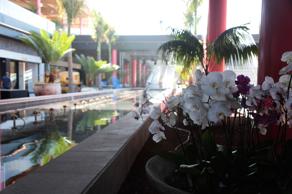 Orquídeas blancas y moradas en un centro comercial en Tenerife.