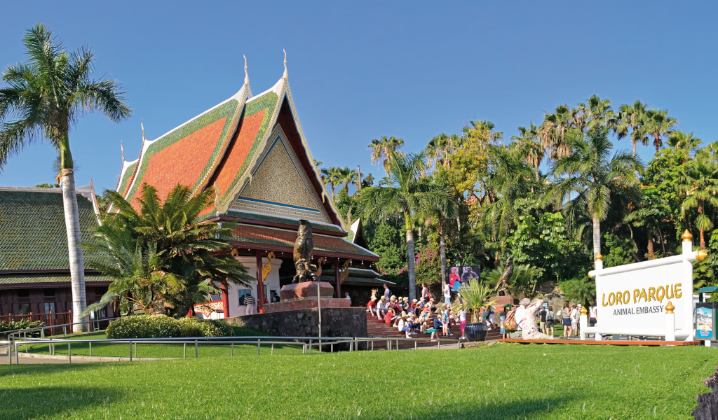 Loro Parque Loro Parque
