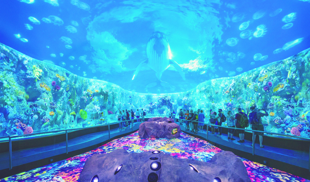 Loro Parque Loro Parque