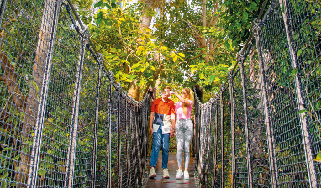 Loro Parque Loro Parque