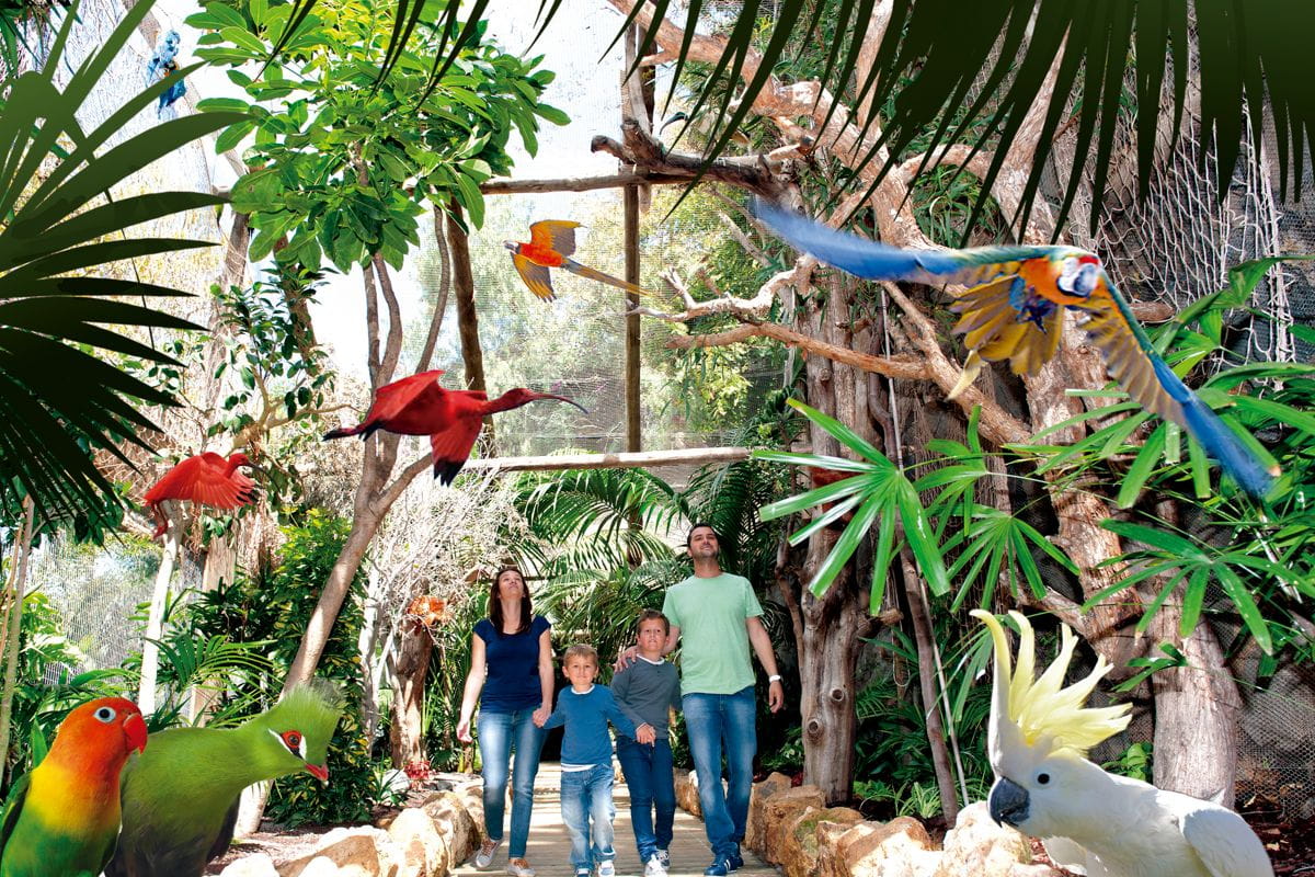 Familia caminando en aviario rodeada de loros y vegetación en Tenerife.
