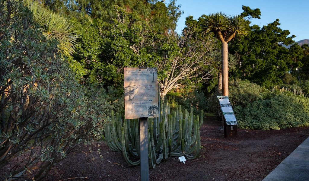 Señal informativa entre cactuses y plantas en el Jardín Botánico de Tenerife.
