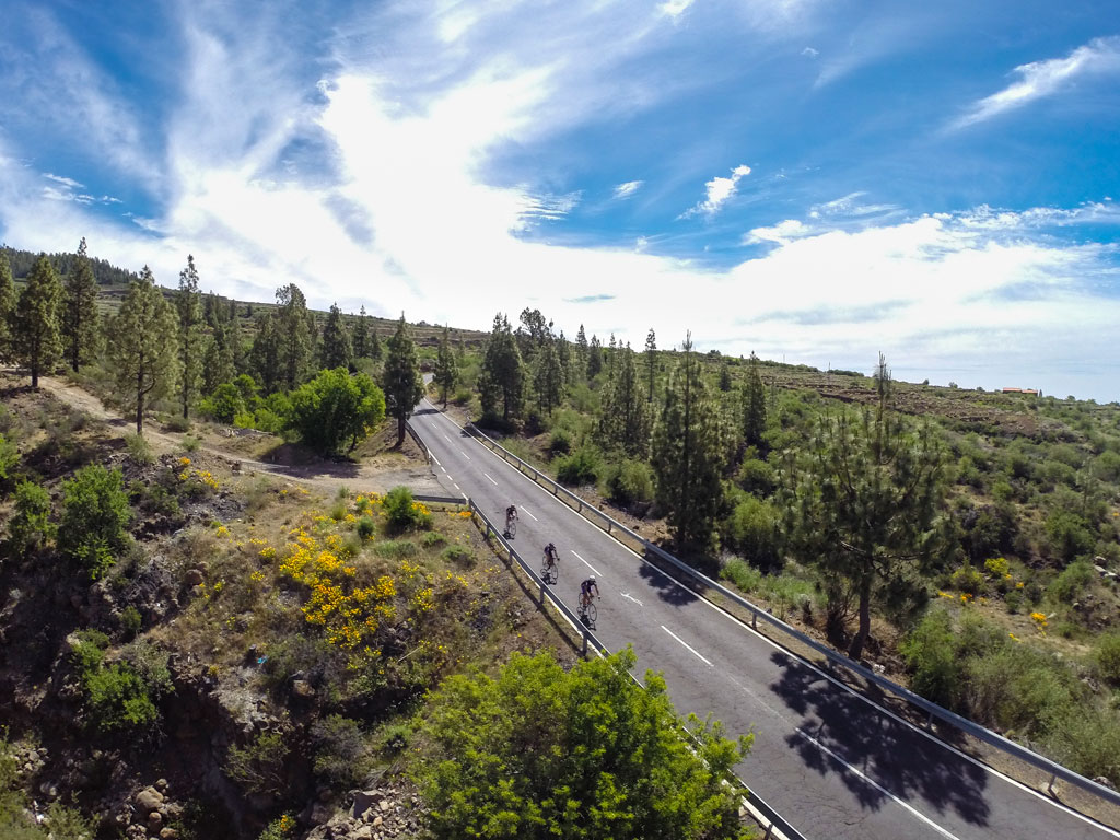 Ciclistas en carretera rodeada de pinos y matorrales en Tenerife.