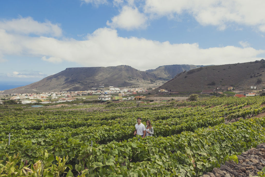 Personas caminando entre viñedos en un valle de Tenerife con montañas al fondo.