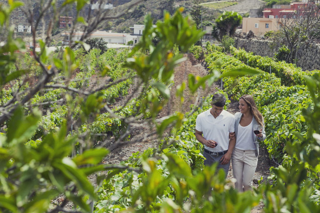 Pareja caminando entre viñedos en Tenerife, sosteniendo copas de vino.
