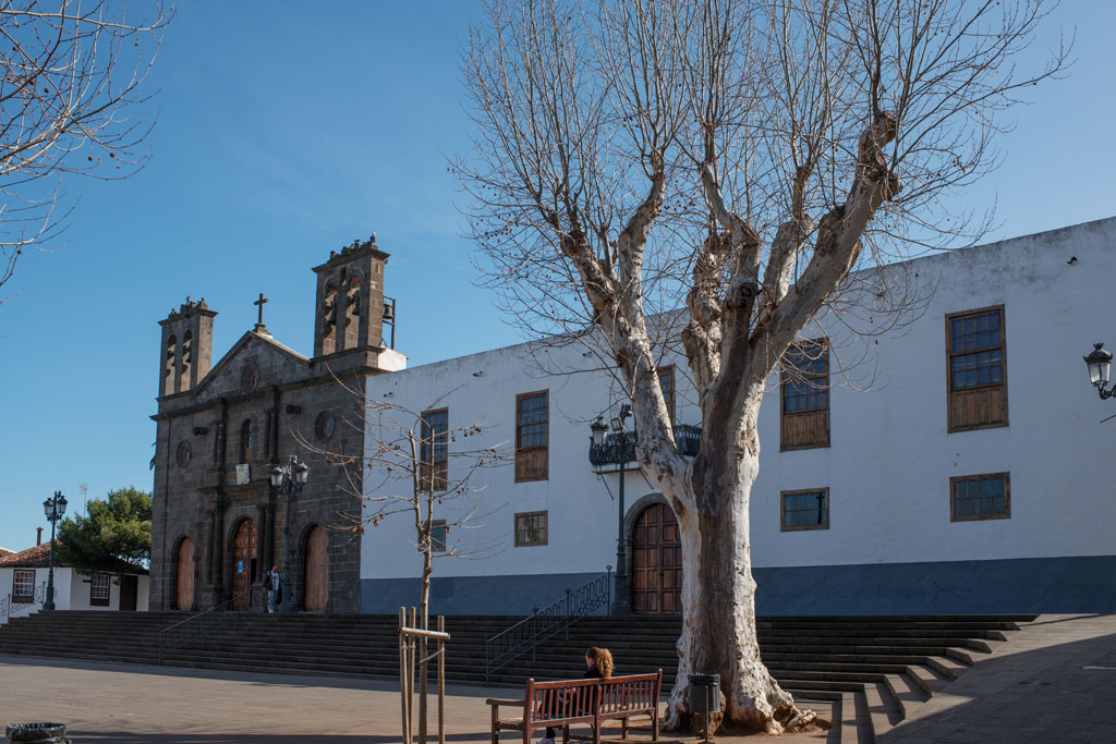 Iglesia de San Antonio de Padua en Granadilla de Abona, Tenerife, y un árbol en la plaza.