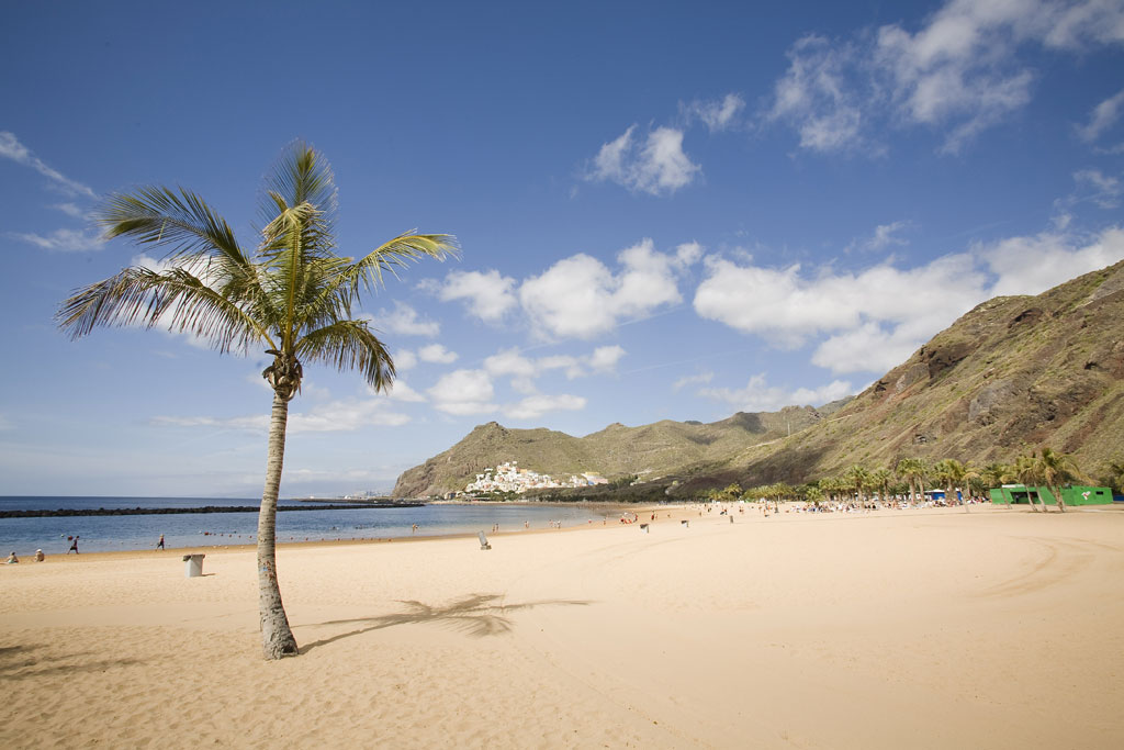 Playa de las Teresitas en Tenerife con palmera y colinas al fondo.