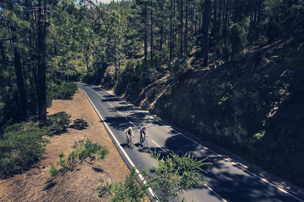 Ciclistas en una carretera rodeada de árboles en Tenerife.