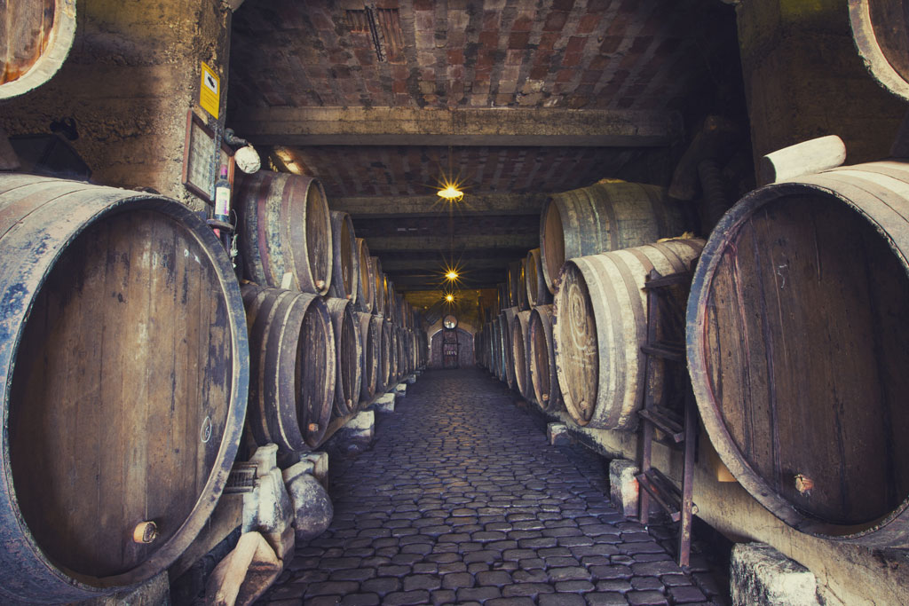 Bodega subterránea con barriles de vino en Tenerife.