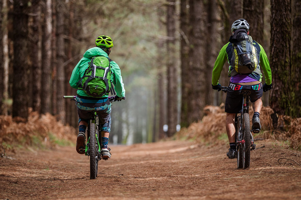 Ciclistas en ruta forestal en Tenerife.