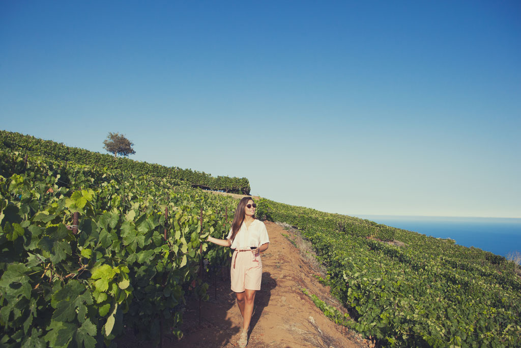Mujer caminando entre viñedos en Tenerife con el mar al fondo.
