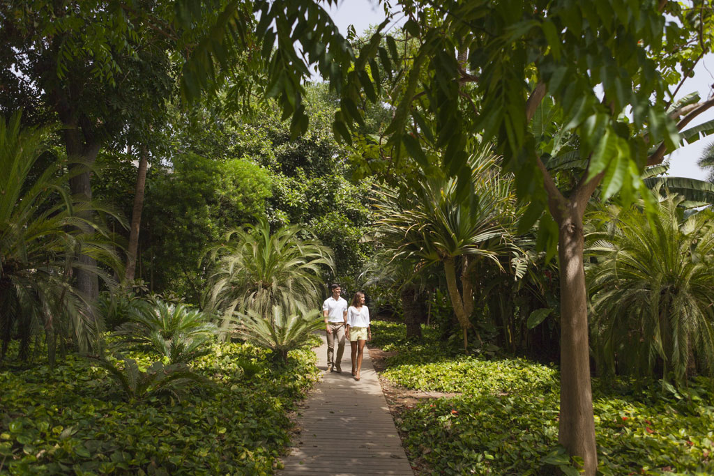 Pareja caminando por sendero rodeado de vegetación en Tenerife.