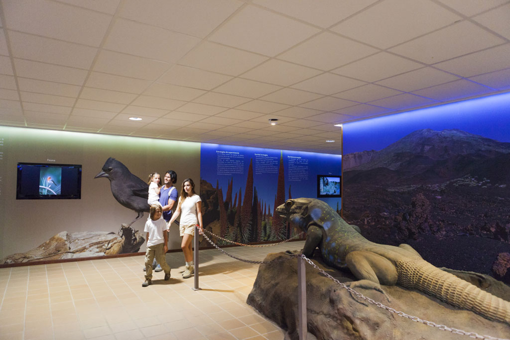 Familia en exposición sobre fauna en el Parque Nacional del Teide, Tenerife.