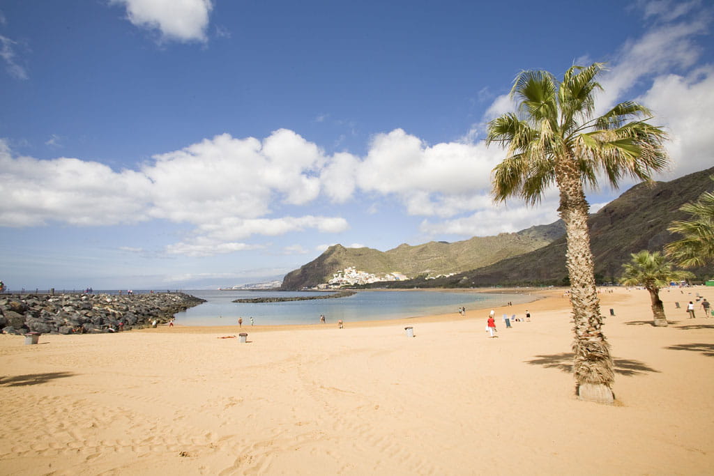 Playa de Las Teresitas con montañas y palmeras al fondo en Tenerife.
