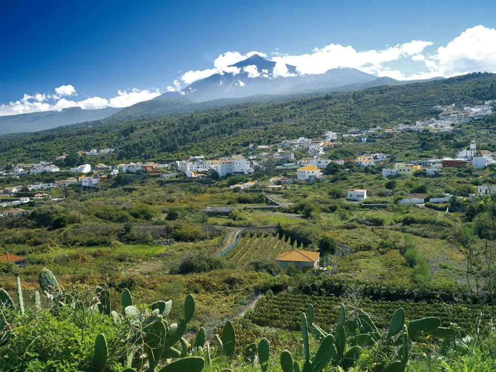 Paisaje de Icod de los Vinos con el Monte Teide al fondo en Tenerife.