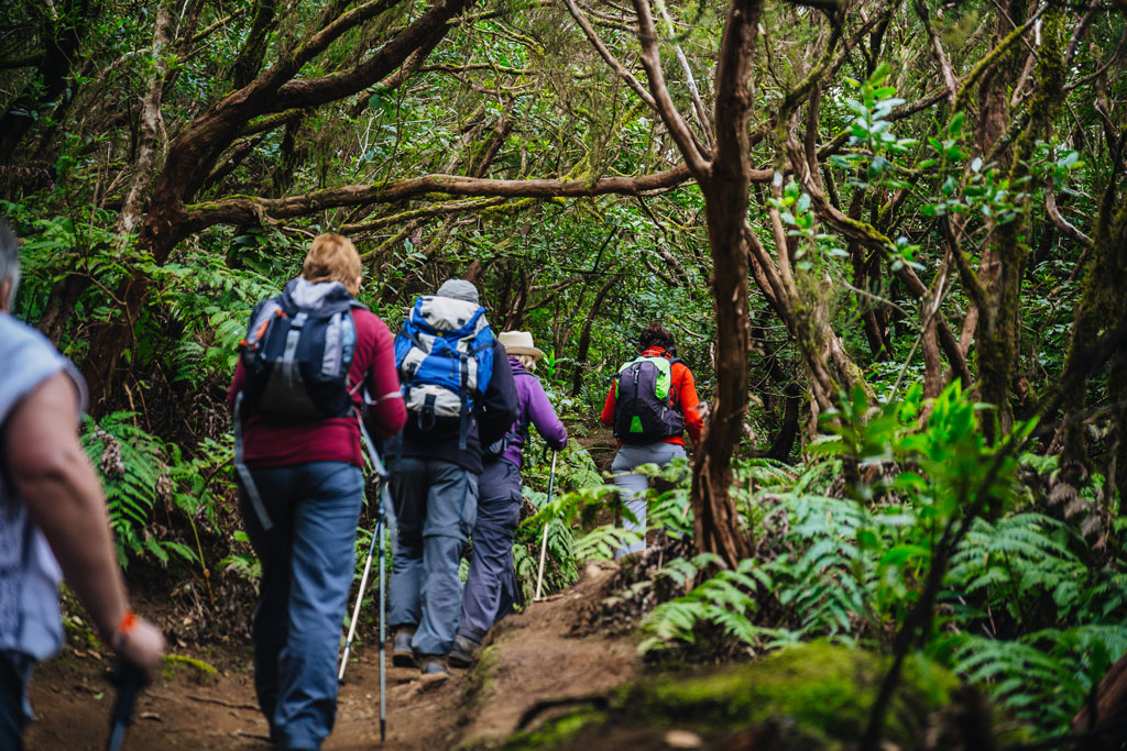 Personas caminando por un sendero boscoso en Anaga, Tenerife.