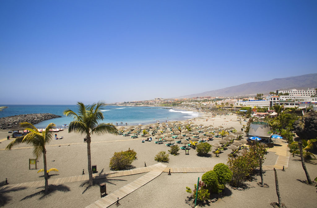 Playa de arena con palmeras y tumbonas en Tenerife, vista del mar y edificios al fondo.