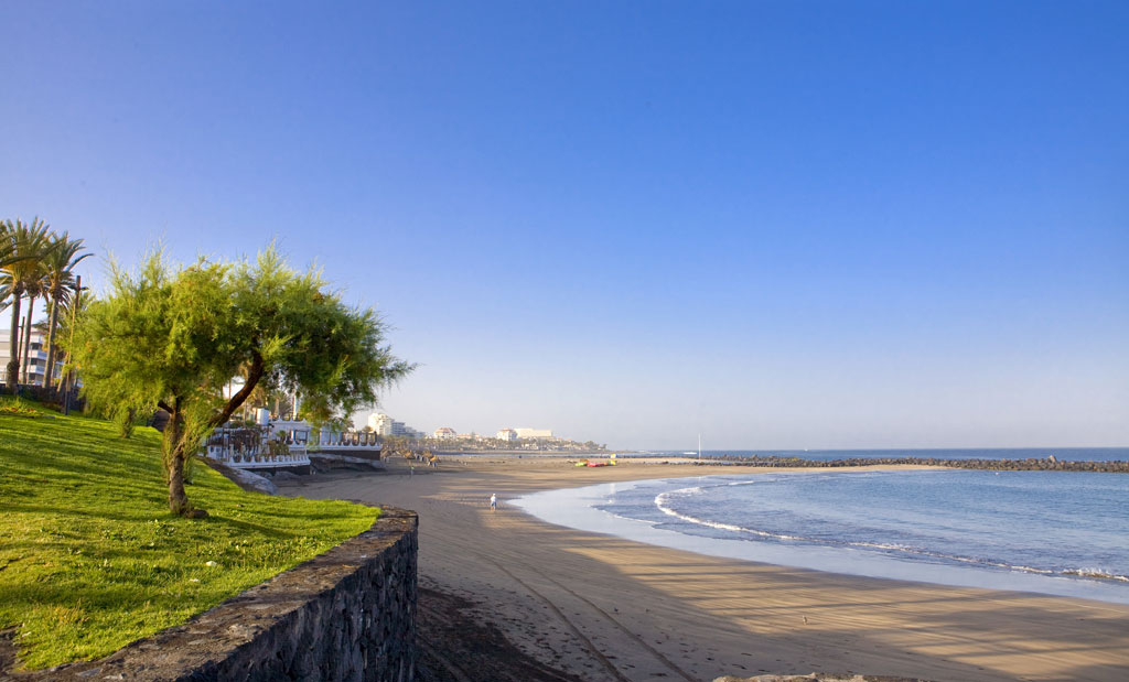 Playa con palmeras y paseo marítimo en Tenerife bajo cielo azul.