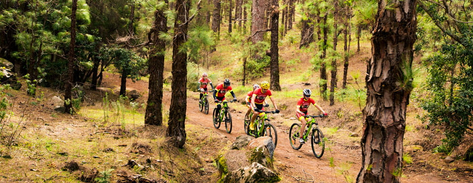 BC-1: Ruta Forestal del Norte