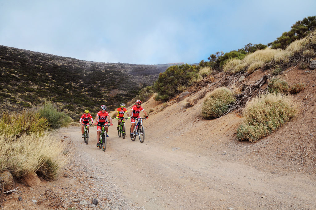 Ciclistas de montaña recorren un camino rural en el paisaje de Tenerife.