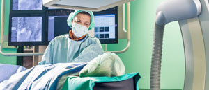 Turismo Médico