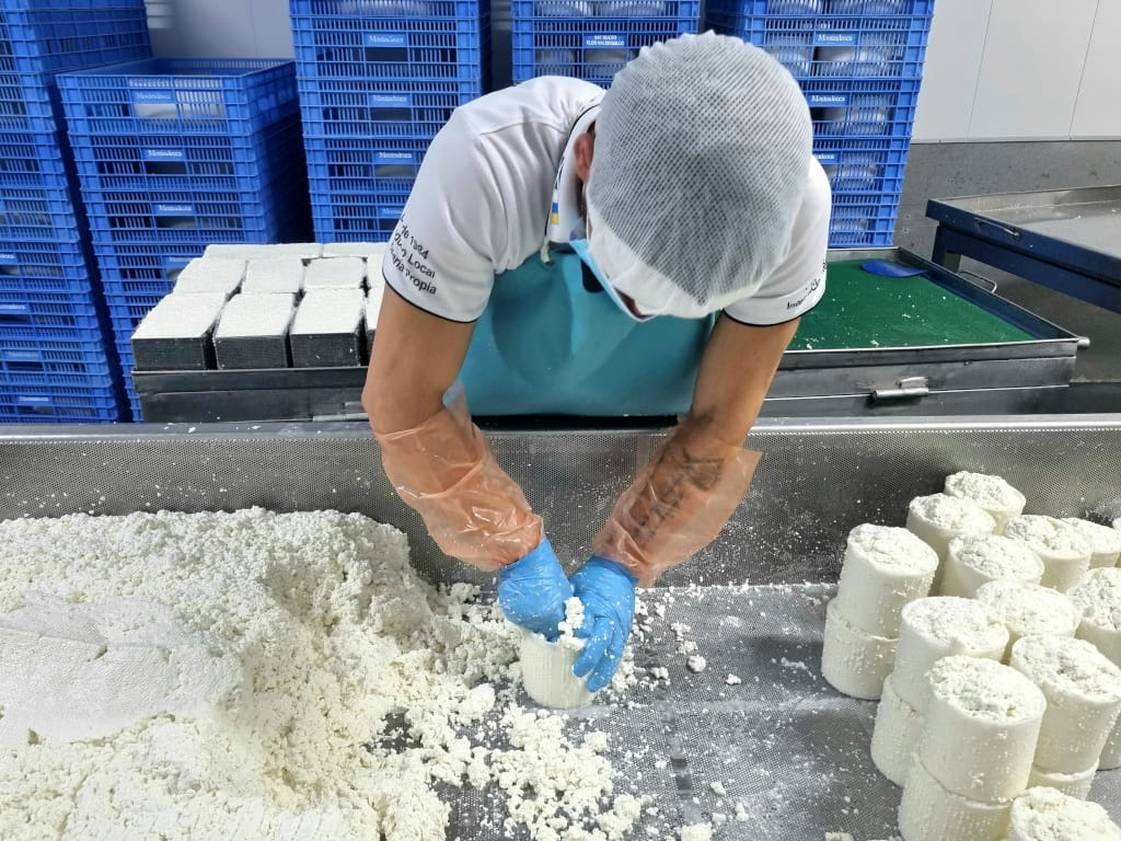 Persona moldeando queso fresco en fábrica en Tenerife.
