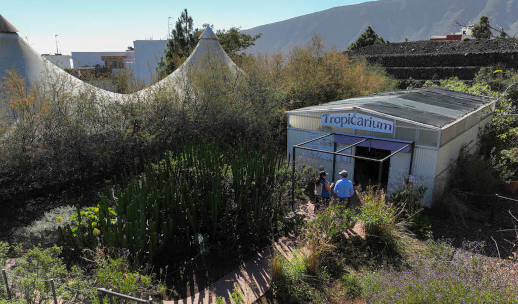 Acceso Tropicarium