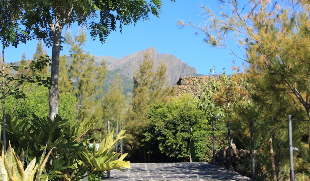 Camino empedrado rodeado de árboles con montaña al fondo en Tenerife.