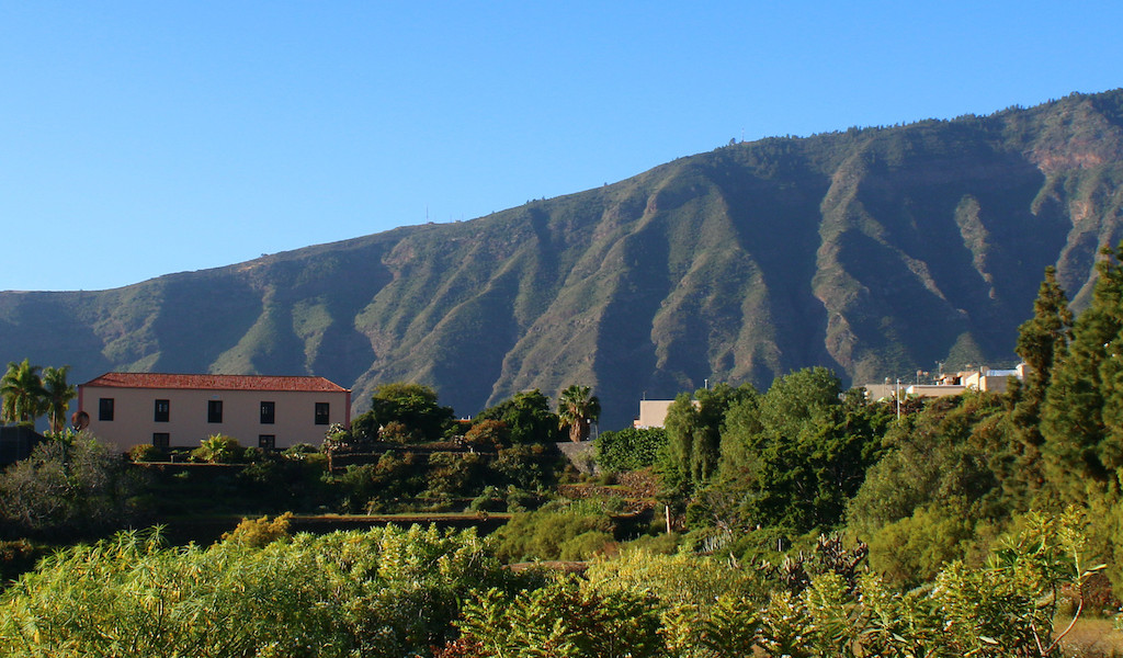 Paisaje montañoso y vegetación en La Orotava, Tenerife.