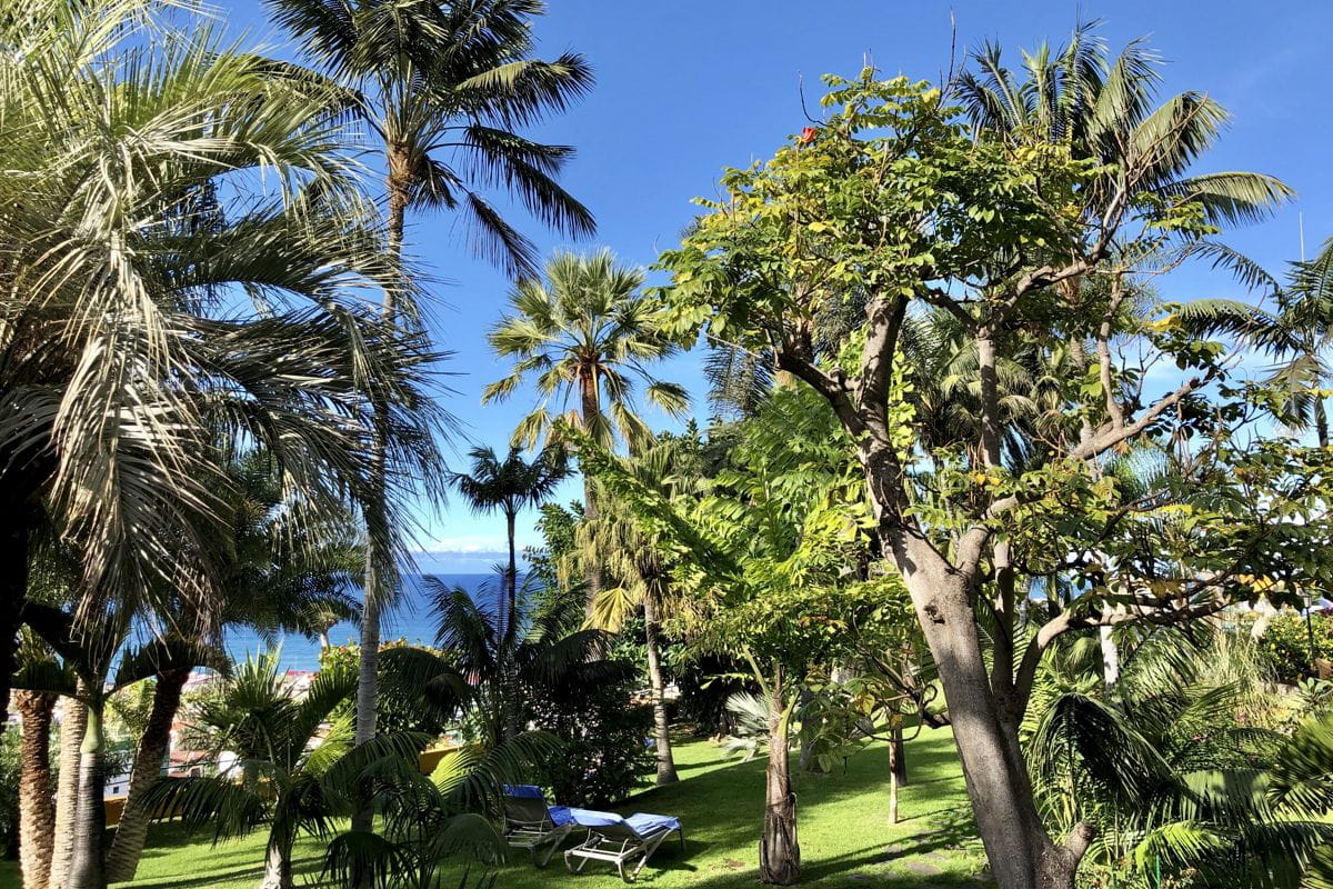 Palmeras y árboles con vista al mar en un jardín de Tenerife.