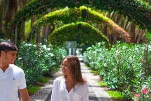 Jardines y parques