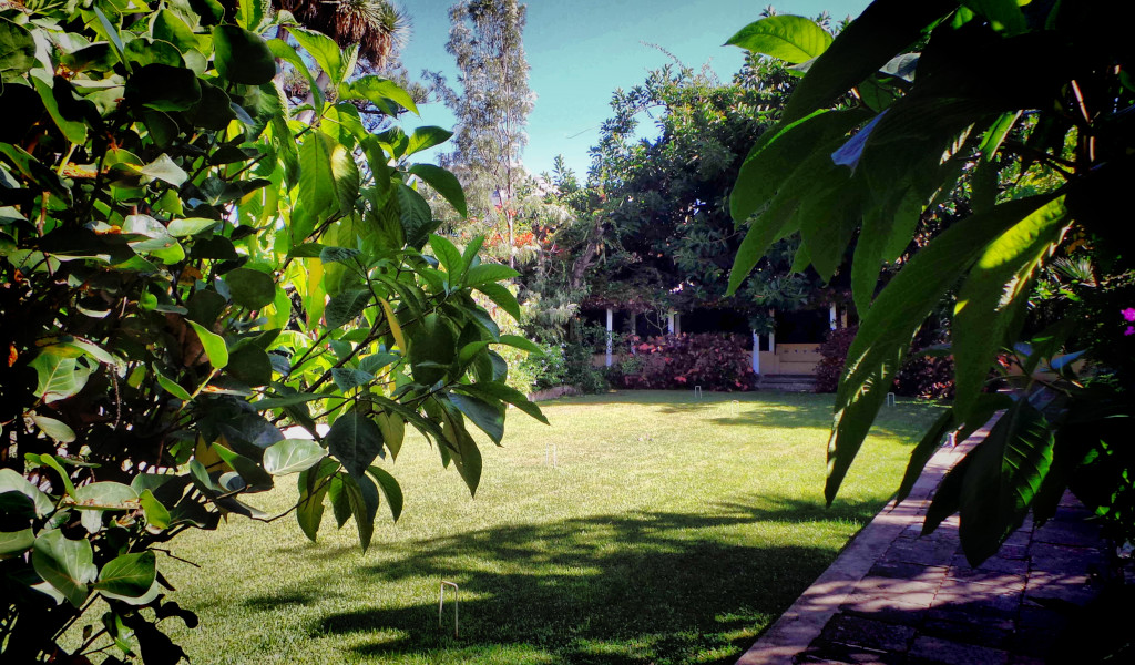 Jardín con césped y árboles en un parque de Tenerife.