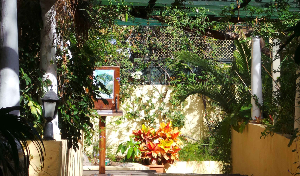 Patio con plantas y cuadro en Jardín Botánico de Tenerife.