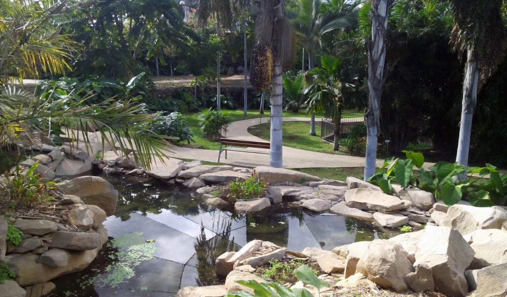 Jardines tropicales con estanque y senderos en Puerto de la Cruz, Tenerife.