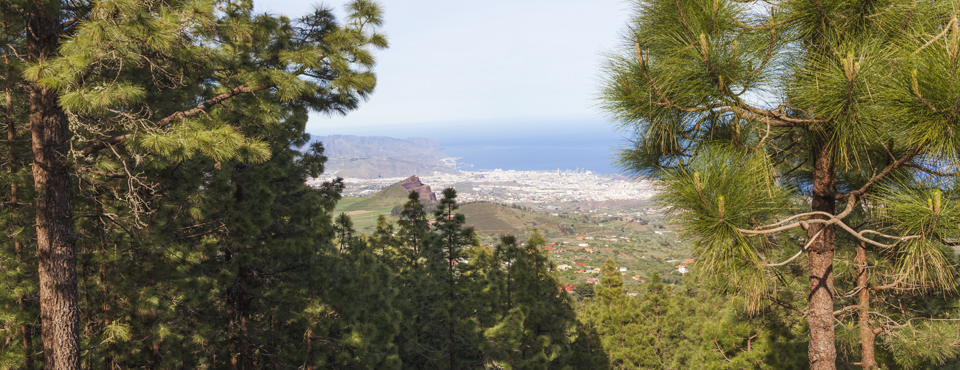 Mirador de Montaña Grande