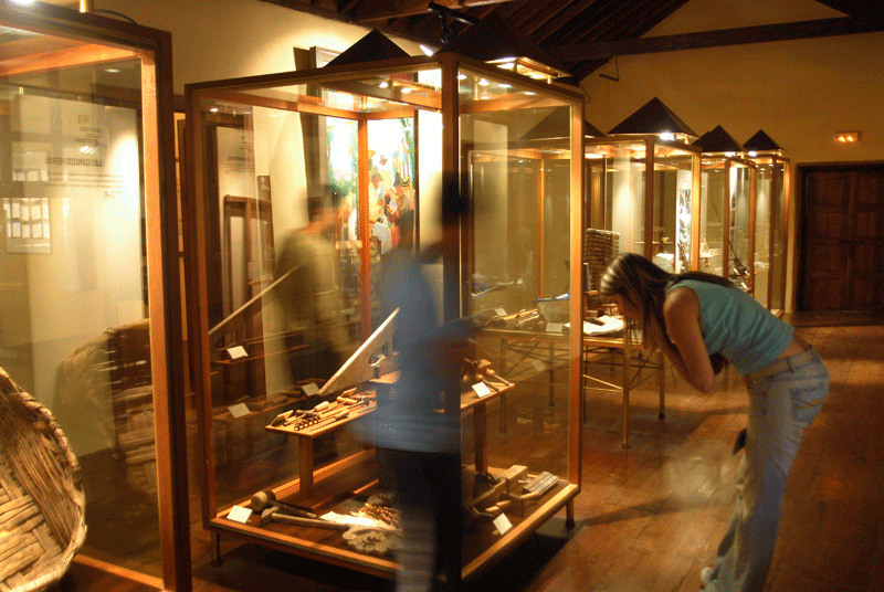 Exposición de objetos en vitrinas en un museo de Tenerife con visitantes observando.