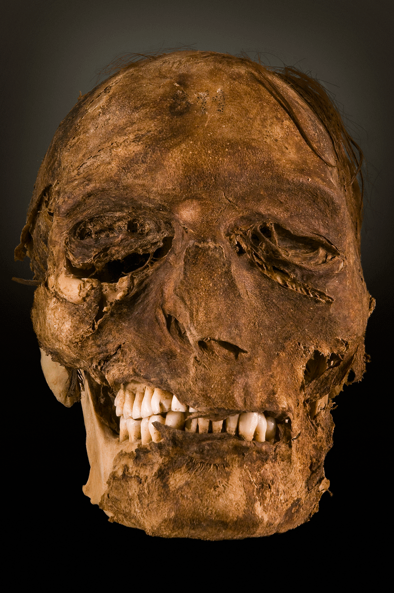 Calavera en exposición en un museo de Tenerife.