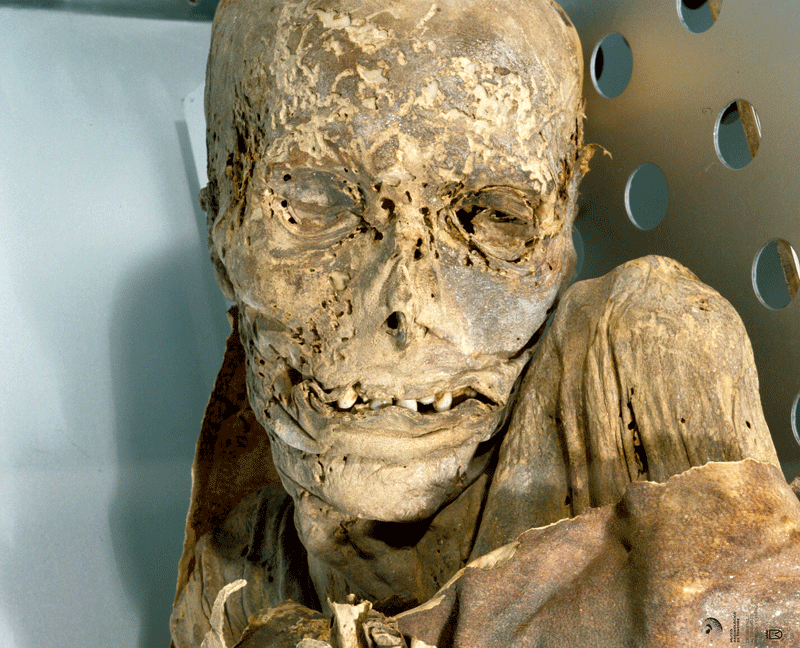 Momia guanche en un museo de Tenerife con detalles visibles en el rostro y cuerpo conservado.