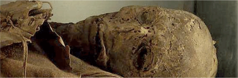 Momia guanche en Tenerife, detalle del rostro preservado.
